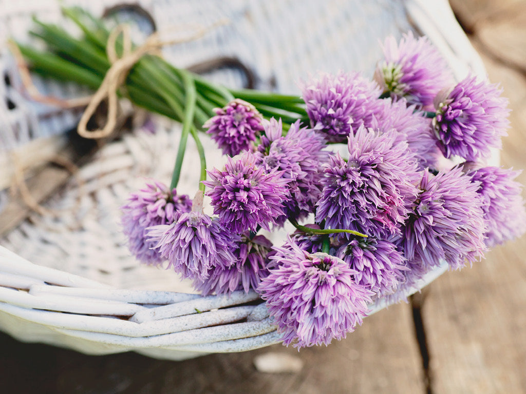 Chive Grow Guide: How to Plant, Grow and Harvest Chives