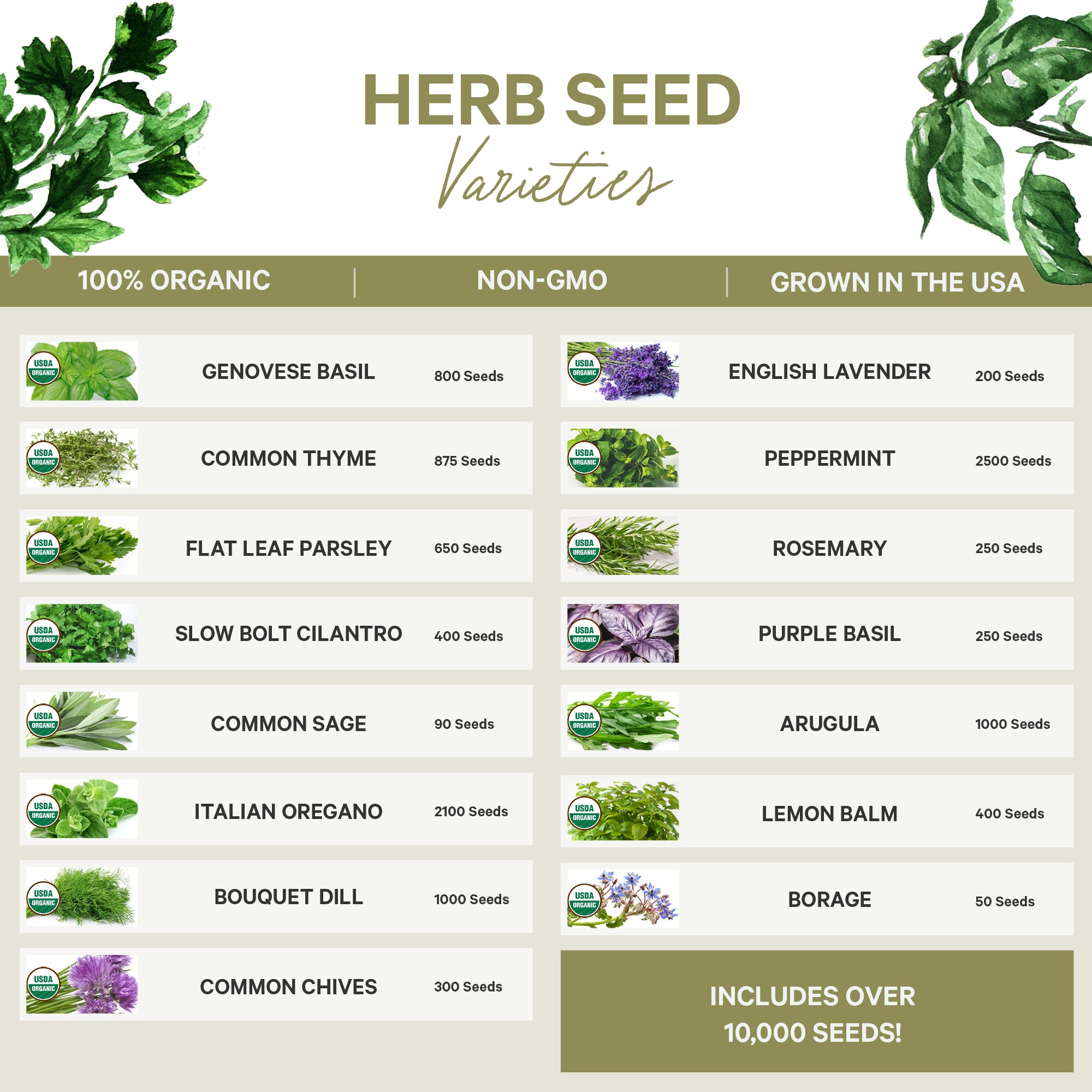 Organic Seed Collection - 15 Herb