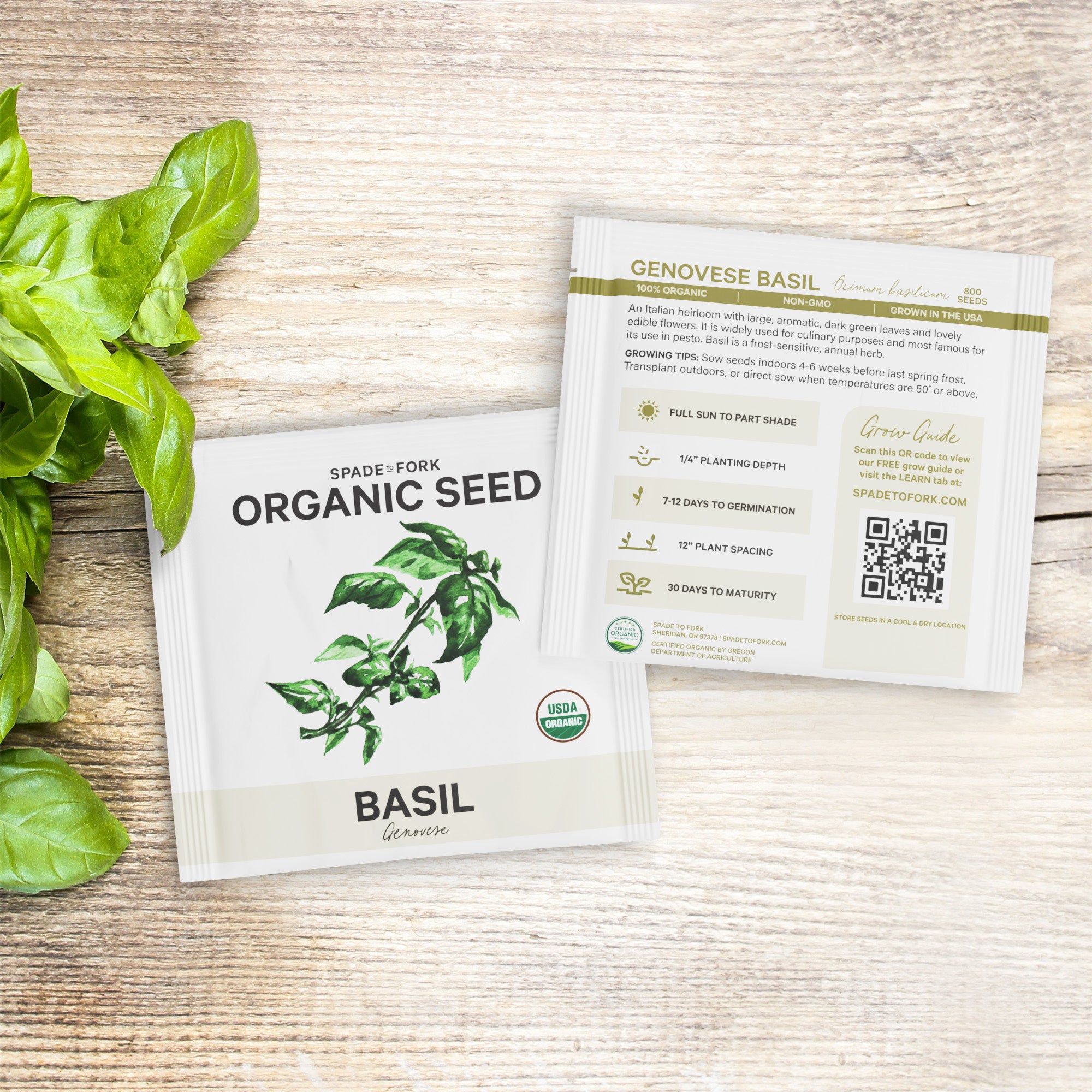 Organic Genovese Basil