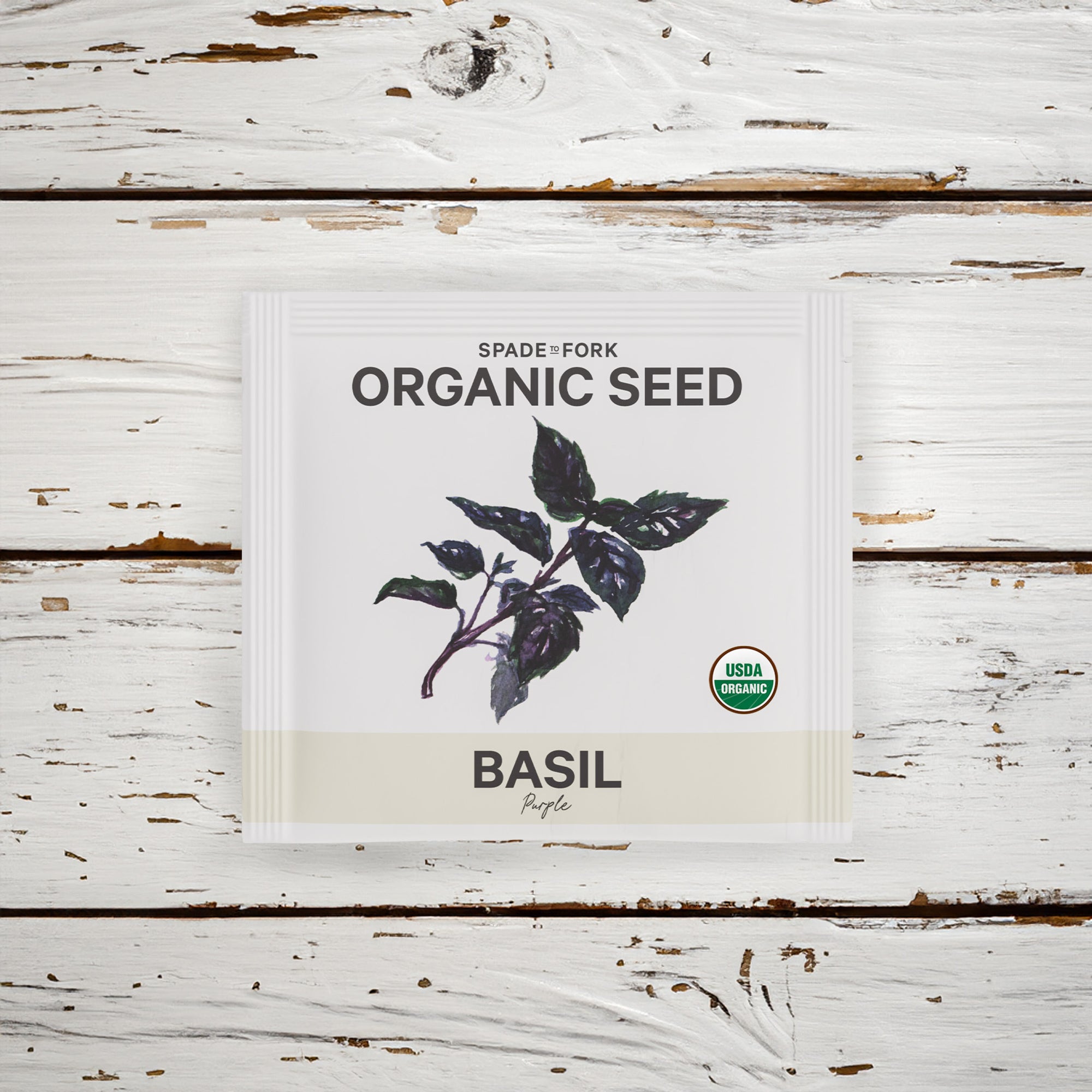 Organic Purple Basil