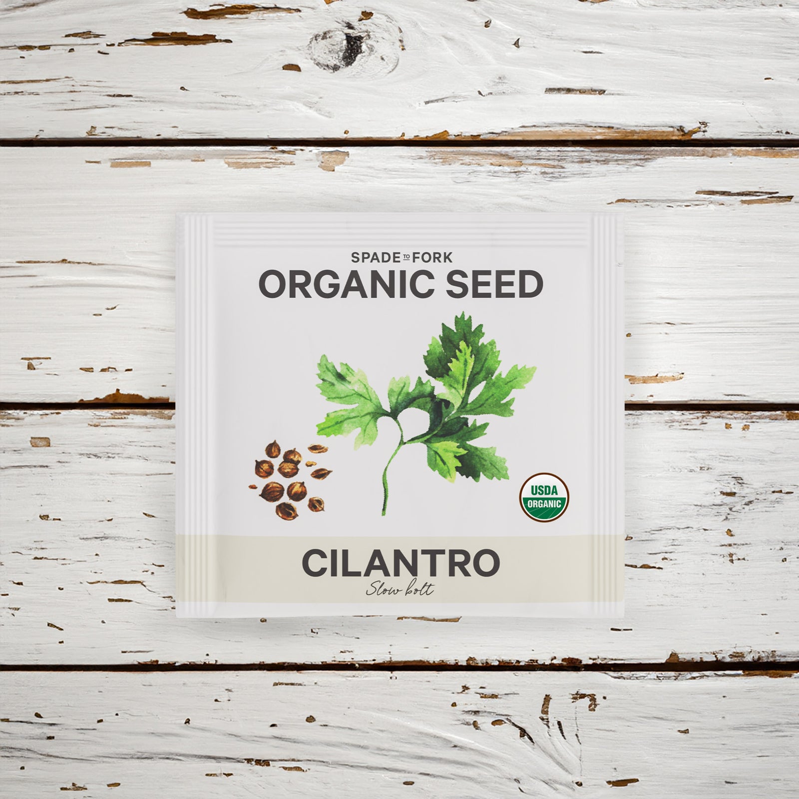 Organic Slow Bolt Cilantro