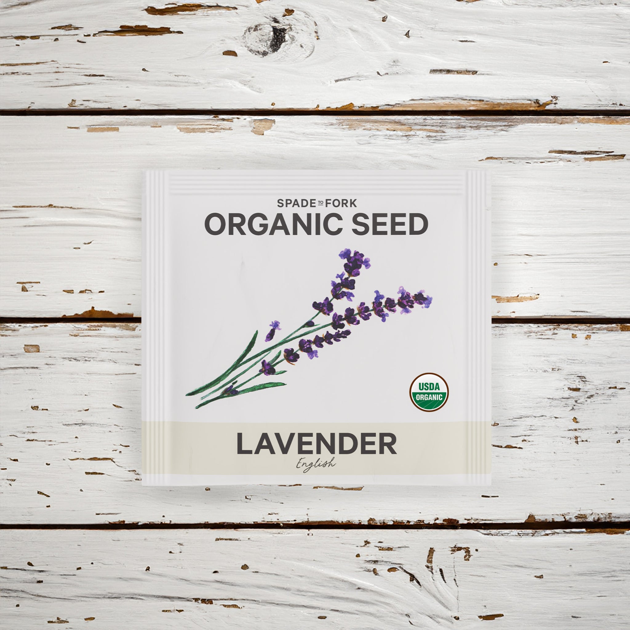 Organic English Lavender