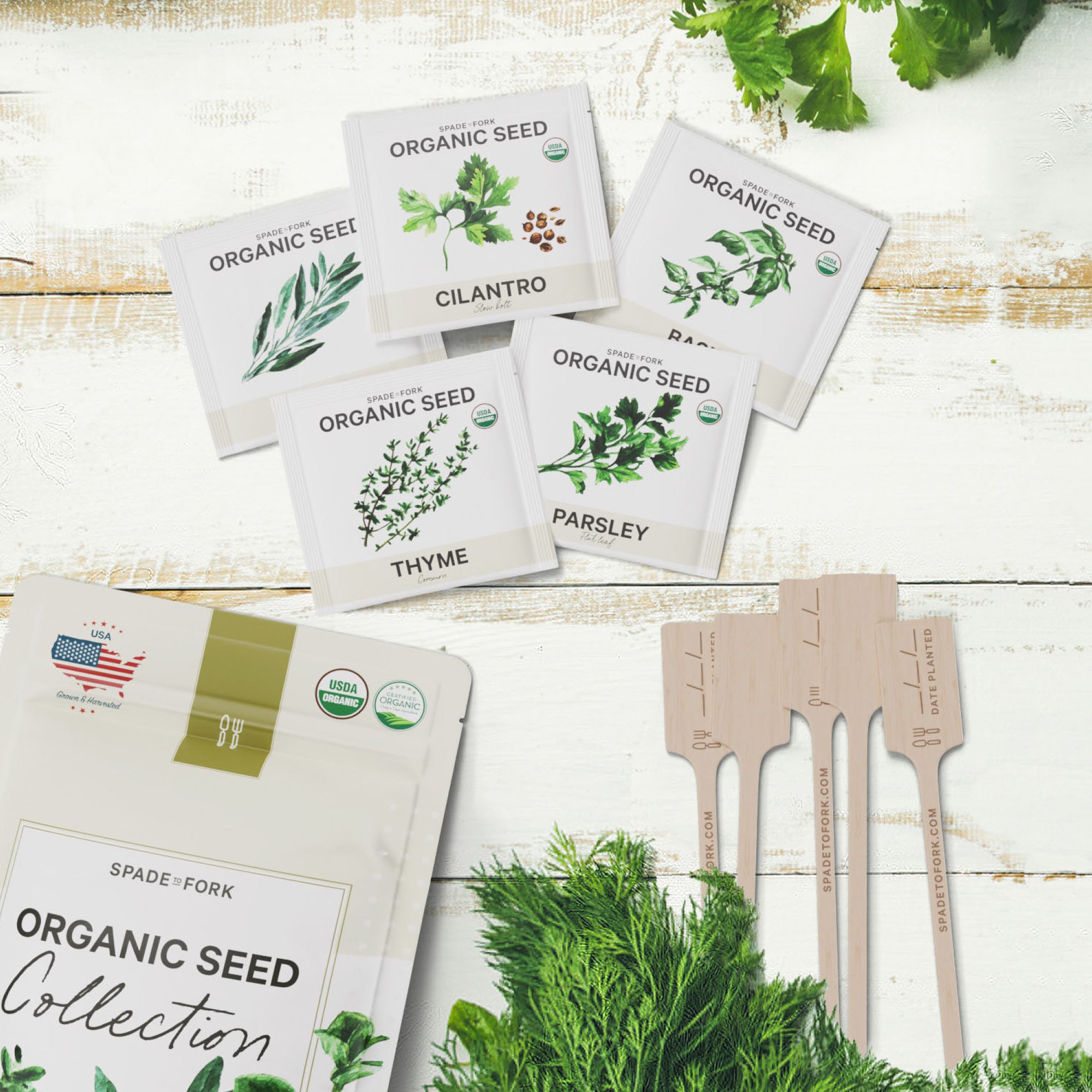 Organic Seed Collection - 5 Herb