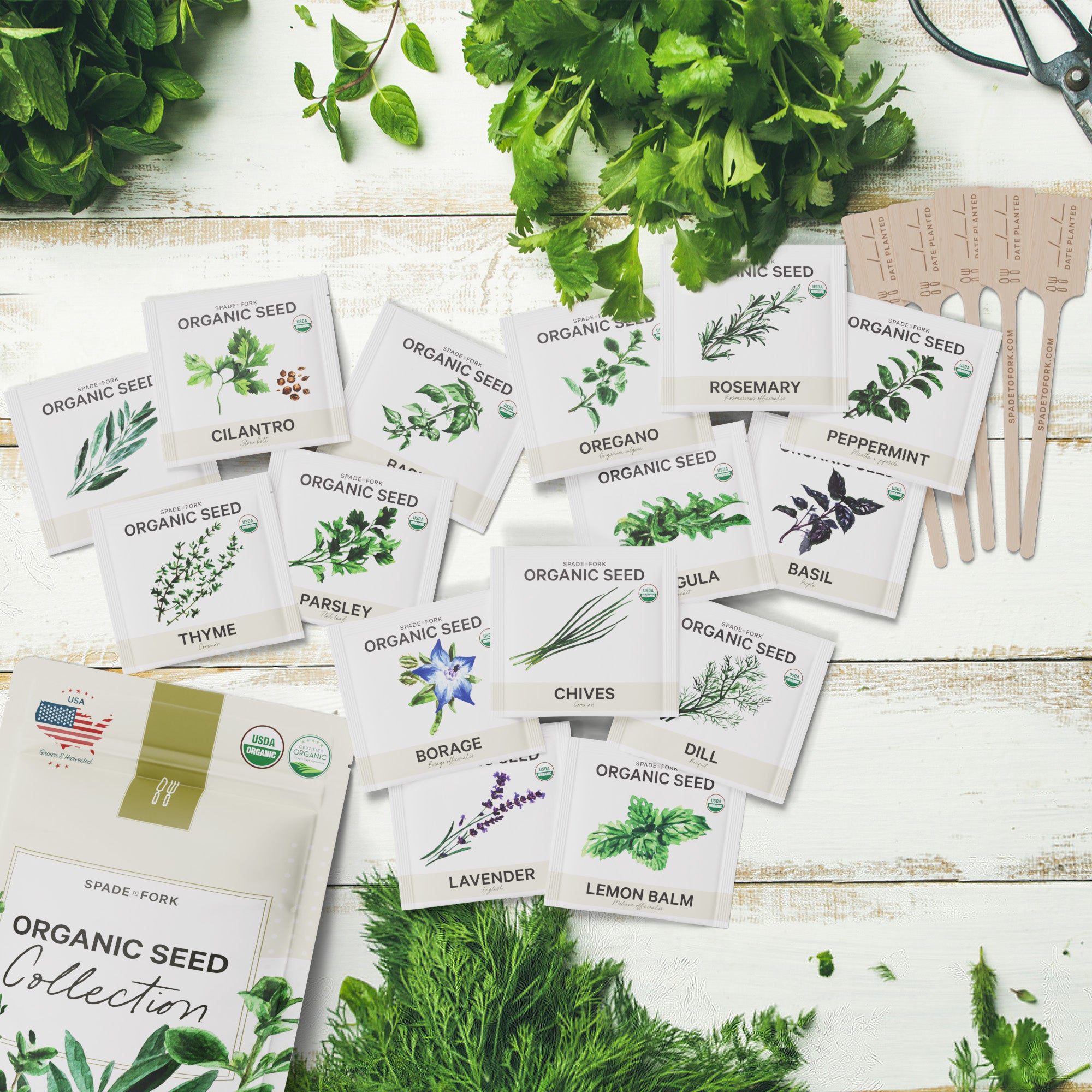 Organic Seed Collection - 15 Herb